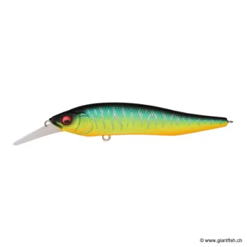 Megabass X NANAHAN +1