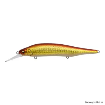 Megabass X80 MAGNUM +1