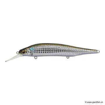 Megabass X80 MAGNUM +1