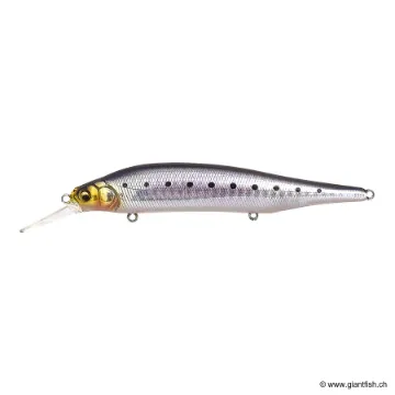 Megabass X80 MAGNUM +1