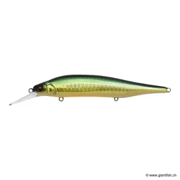 Megabass X80 MAGNUM +1