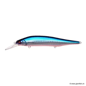 Megabass X80 MAGNUM +1