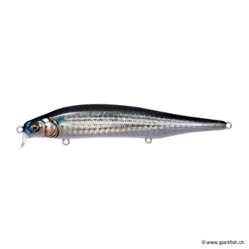 Megabass X80 MAGNUM SR