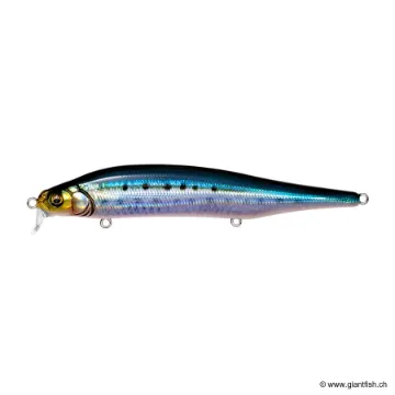 Megabass X80 MAGNUM SR