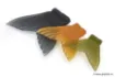 Image de Queue de Rechange Gan Craft Jointed Claw Magnum Spare Tail