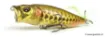 Picture of Megabass Kiss Pop Max Surface Lure - 7.8 cm