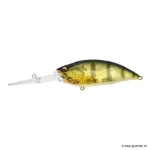 G Gp Pro Perch