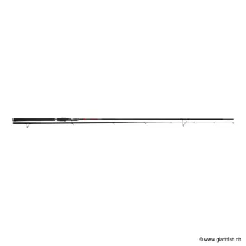 Canne Spinning TENRYU NAMIJA 1080 H