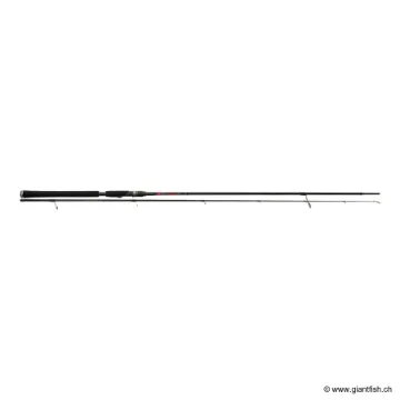 Canne Spinning TENRYU NAMIJA 900 M