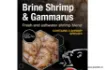 Immagine di Attrattore Liquido NASH Brine Shrimp & Gammarus