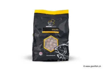 Bouillettes NASH Scopex Squid Boilies