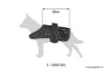 Immagine di Cappotto per cane NASH ZT Dog Coat