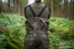 Picture of NASH ZT Helluva Waterproof Fishing Bib and Brace