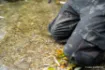 Immagine di Pantaloni NASH ZT Helluva Impermeabili
