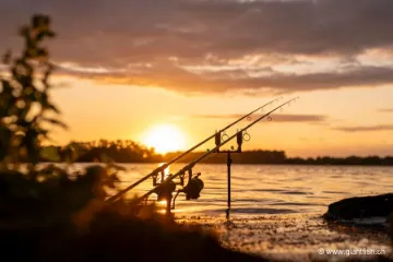 Ensemble NASH Canne Air Force F20 12 ft 3.50 lbs & Epuisette carpe