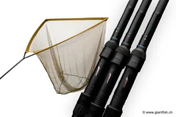 Ensemble NASH Canne Air Force F20 13 ft 3.50 lbs & Epuisette carpe