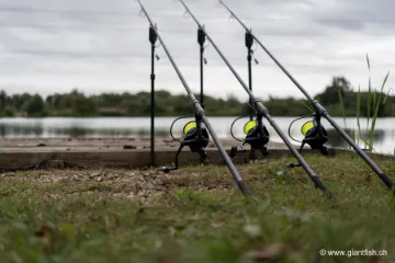 Ensemble NASH Canne Air Force F20 13 ft 3.50 lbs & Epuisette carpe