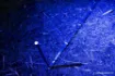 Immagine di Nastro di Misura NASH Spot On UV Precision Tape