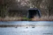 Image de Bivvy NASH Bank Life Blockhouse Camo Pro