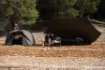 Bild von Schutzunterstand NASH Bank Life Multi Tarp Camo