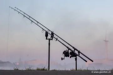 Canne NASH Dwarf Shrink