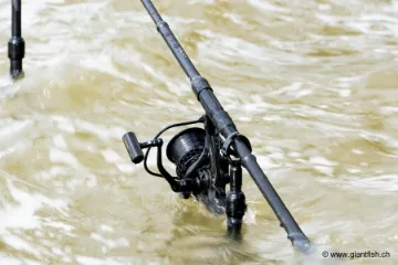 Canne NASH Dwarf Shrink