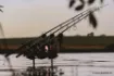 Picture of NASH Dwarf Shrink Carp Rod