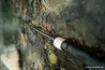 Picture of NASH Dwarf Cork Carp Rod