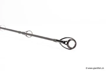 Canne NASH Dwarf Abbreviated