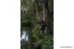 Bild von Rute NASH Scope Abbreviated