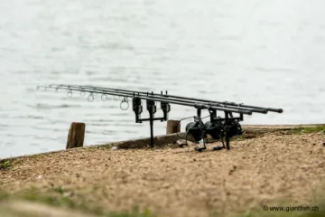 Canne NASH X Series Rod