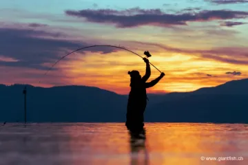 Canne NASH X Series Rod