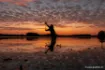 Immagine di Canna da carpa NASH X Series Rod