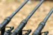 Immagine di Canna da carpa NASH X Series Rod