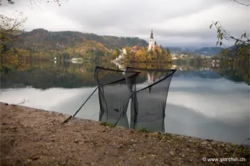 Epuisette NASH X Series Landing Net