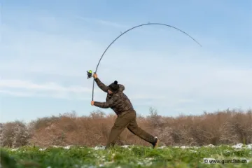 Canne NASH Air Force F20