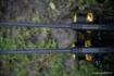 Picture of NASH Air Force F40 Carp Rod