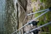 Immagine di Rete di ricambio NASH Air Force Landing Net Mesh
