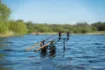 Bild von Karpfenrute NASH Scope OPS Dark Cork