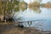 Bild von Karpfenrute NASH Scope OPS Dark Cork