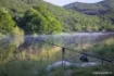 Image de Canne NASH Scope Abbreviated 9 ft & 10 ft