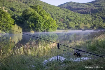 Canne NASH Scope Abbreviated 9 ft & 10 ft