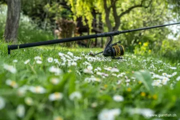 Canne NASH Scope Black Duplon 9 ft & 10 ft