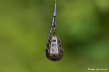 Plomb NASH Dumpy Gripper Swivel Lead