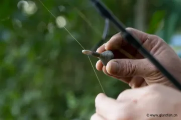 Back Lead NASH Ezi Glide Back Lead