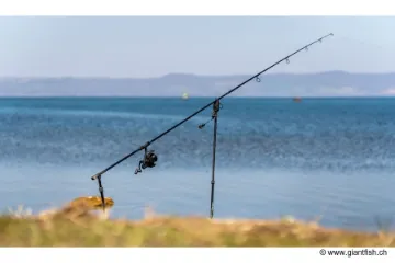 Pique NASH Twist Lock Bankstick