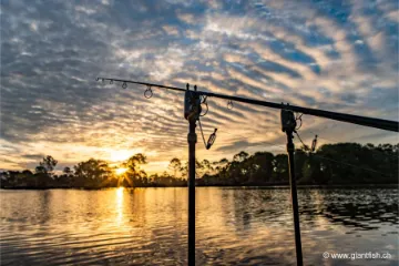 Pique NASH Twist Lock Bankstick