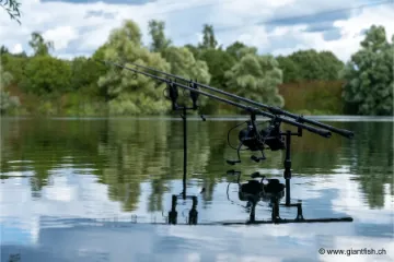 Support de Canne NASH Butt Lock