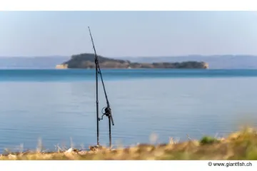 Support de Canne NASH Butt Lock