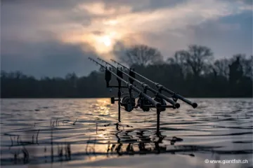 Support de Canne NASH Butt Lock